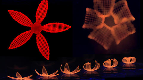 4d-printing-605x403.jpg