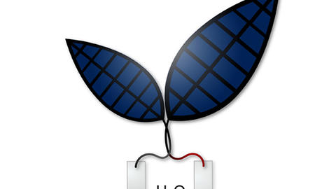 v2-0-bionic-leaf-605.jpg